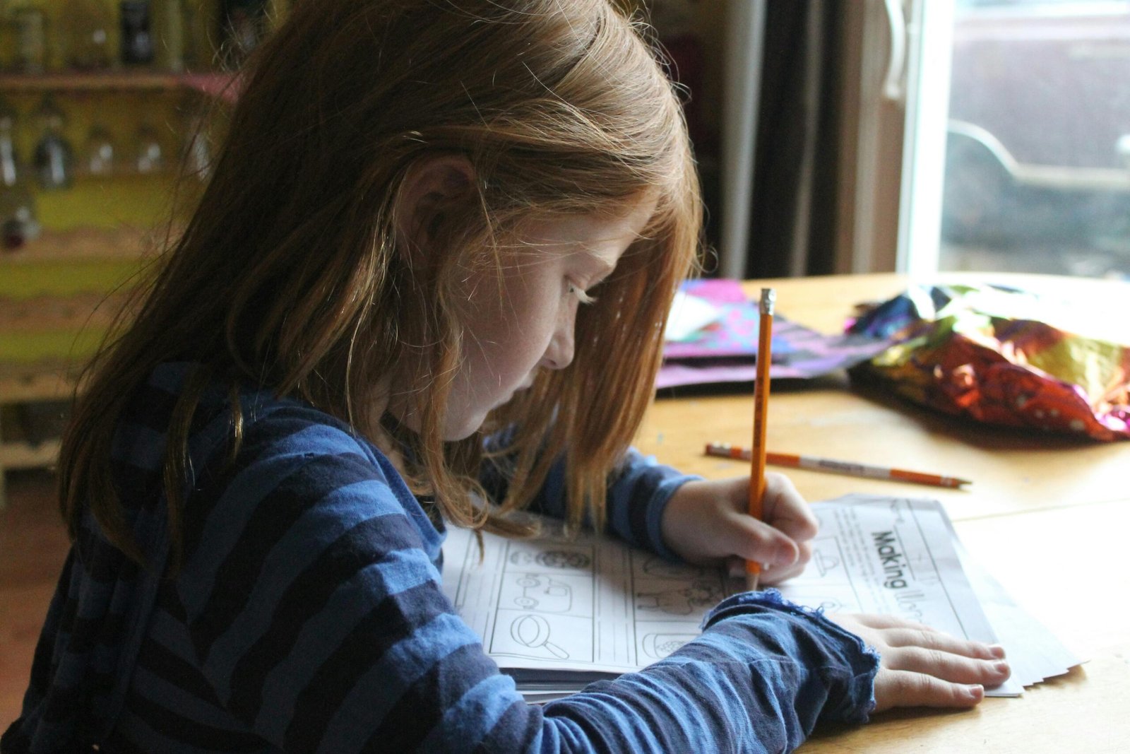 Homeschooling in the Netherlands